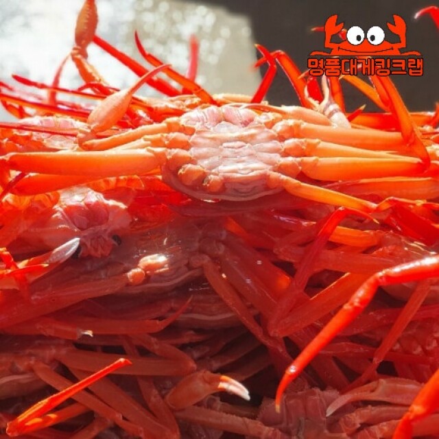 명품대게킹크랩,국내산 설탕홍게 3kg