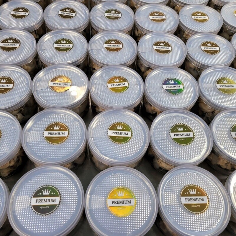 명품대게킹크랩,동해안 자연산 깐 자숙 백골뱅이 1통(250g)