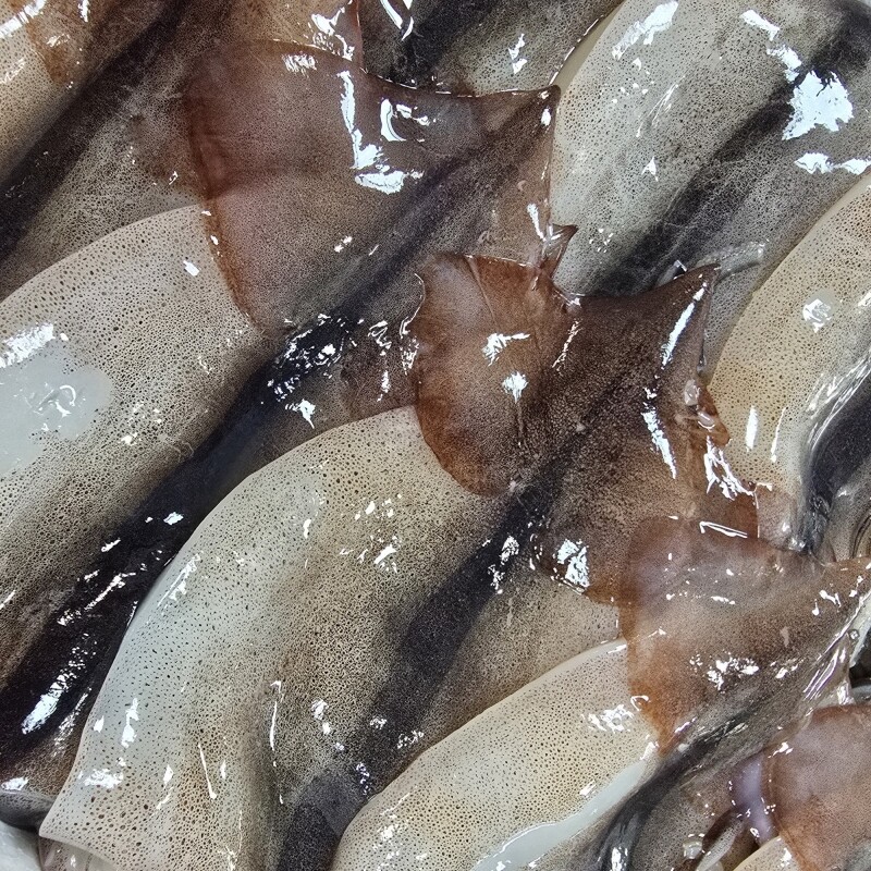 명품대게킹크랩, 대게, 킹크랩, 러시아대게, 백골뱅이, 흑골뱅이, 선어대게, 가리비, 선물세트,