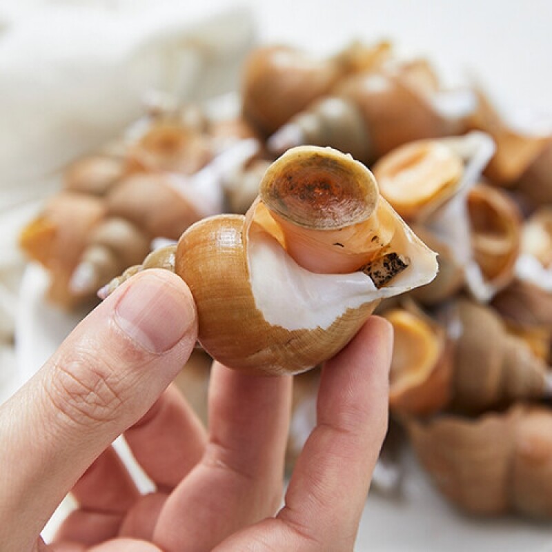 명품대게킹크랩, 대게, 킹크랩, 러시아대게, 백골뱅이, 흑골뱅이, 선어대게, 가리비, 선물세트,